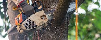 Lawn Irrigation Installation and Maintenance in Bella Vista, CA