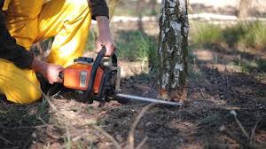 Best Weed Control  in Bella Vista, CA